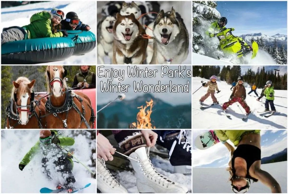 This energetic outdoor winter scene features people tubing, huskies pulling sleds, skiing action, children playing in the snow, and a fire pit where groups gather. The image exudes festivity and group fun, capturing a multitude of activities for all ages.